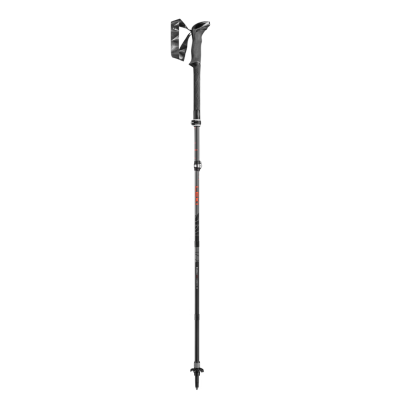 Kepikõnni kepid LEKI Makalu FX Carbon AS 110-130 cm