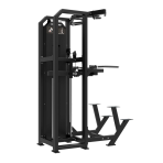 Jõusaalitrenažöör TUNTURI Platinum Dual Assisted Chin Up / Dip Selectorized V-seria
