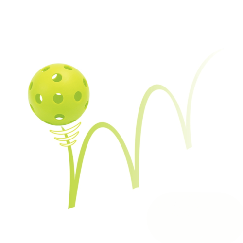 Komplekt Pickleball Set inSPORTline