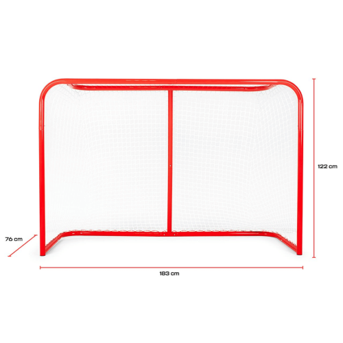 Jäähokivärav Court Icehockey Goal