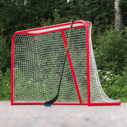 Jäähokivärav Court Icehockey Goal