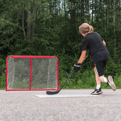 Jäähokivärav Court Icehockey Goal
