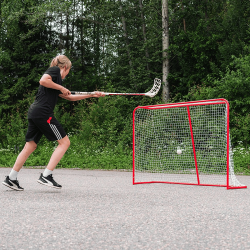 Põrandabändi värav Court Floorball Goal