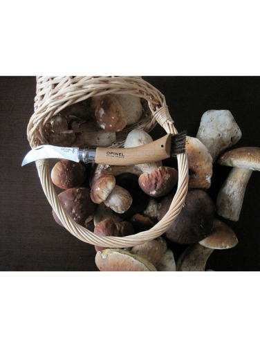 Opinel number 8 seen grybavimise