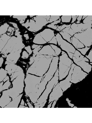 Küüslaugumaitsestatud krõbedad kartulikrõpsud