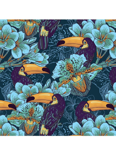 Tucano kroomikass Ääretul Sophiaga