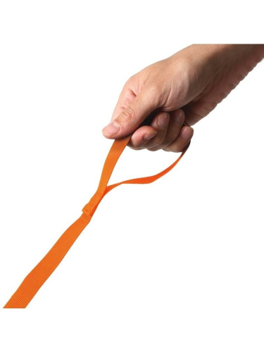 Laste seljakott Littlelife Lõvi Lapse seljakott