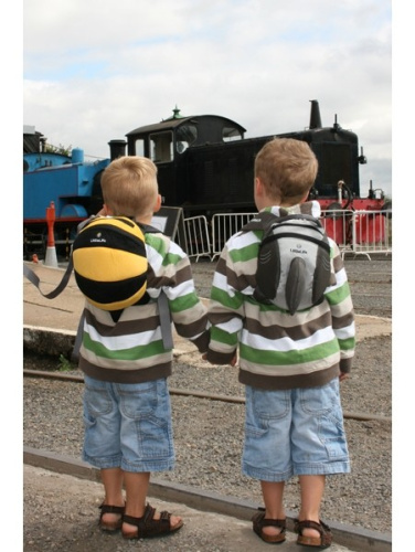 Laste seljakott-kärbes Littlelife Toddler Backpack Bee