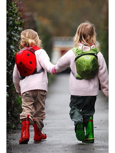 Laste seljakott-lepatriinu Littlelife Toddler Backpack Ladybird