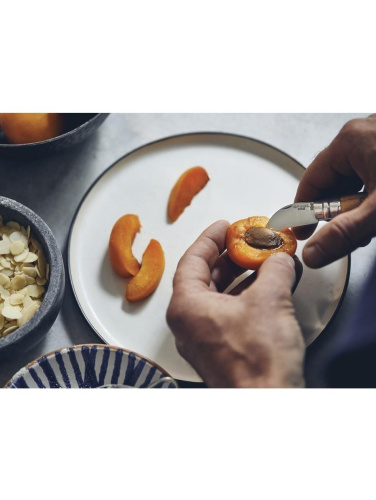 Opinel kastani ja küüslaugu nuga nr 7 küüslaugu ja luude eemaldamiseks.