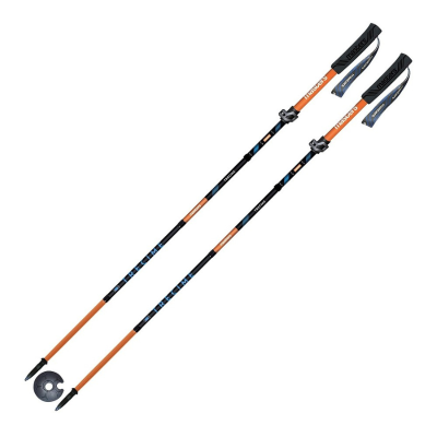 Käimiskepid Masters'ilt ThirdRealm