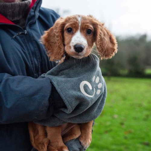 Rankšluostis Mountain Paws Muddy Dog Towel

Original: Muddy Dog Towel by Mountain Paws