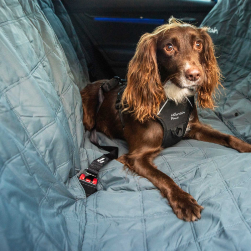 Koerte turvavöö Mountain Paws Dog Seat Belt