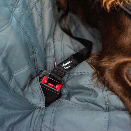 Koerte turvavöö Mountain Paws Dog Seat Belt
