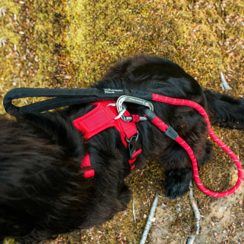 Koerajalutusnöör Mountain Paws Rope Dog Lead
