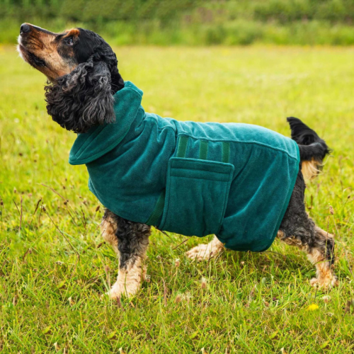 Koerte hommikumantel Mountain Paws Dog Robe
