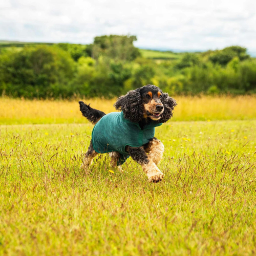 Koerte hommikumantel Mountain Paws Dog Robe