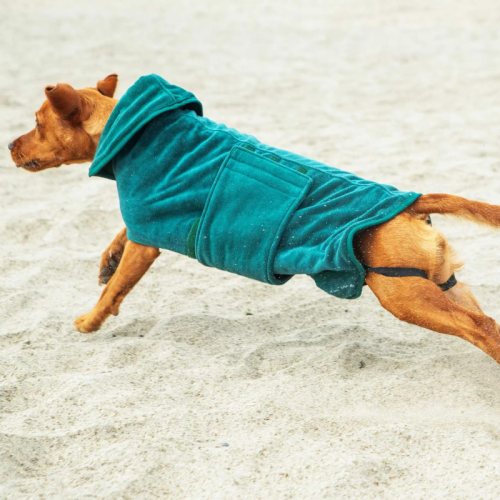 Koerte hommikumantel Mountain Paws Dog Robe