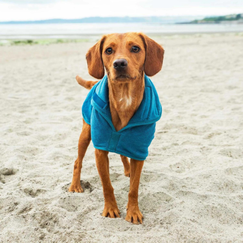 Koerte hommikumantel Mountain Paws Dog Robe