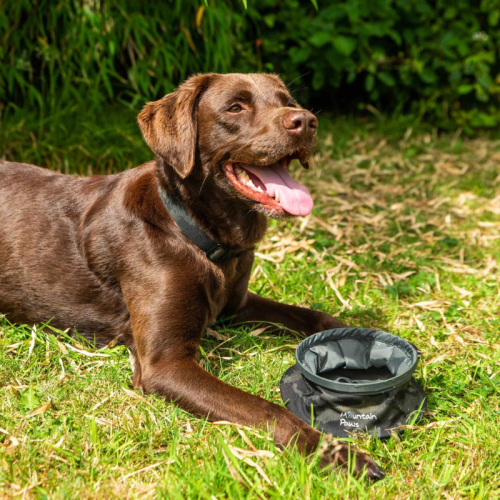 Lemmikloomade mägikäppide kokkupandav koerakausike
