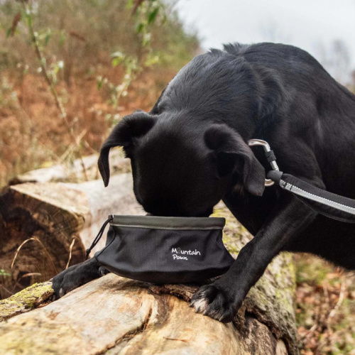 Kokkurantidele mägisööti kausike koertest Mountain Paws Collapsible Dog Food Bowl