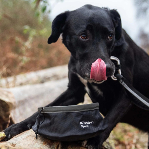 Kokkurantidele mägisööti kausike koertest Mountain Paws Collapsible Dog Food Bowl