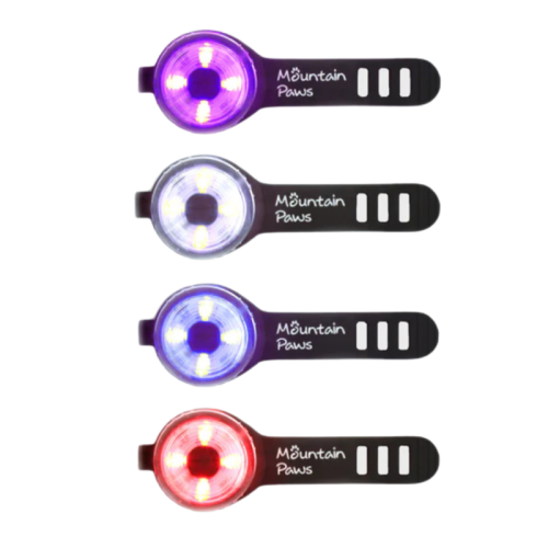 Laternad loomadele Mountain Paws Dog Safety Light 2 Pack