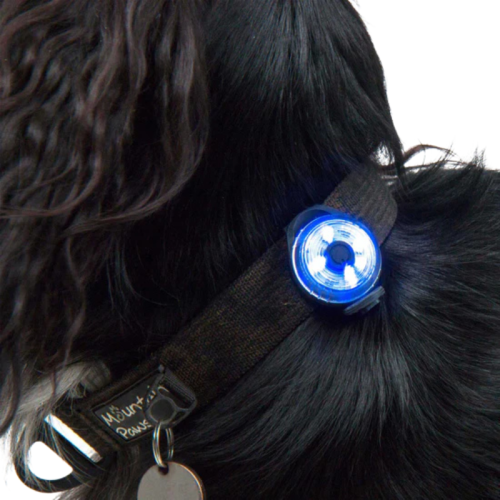 Laternad loomadele Mountain Paws Dog Safety Light 2 Pack