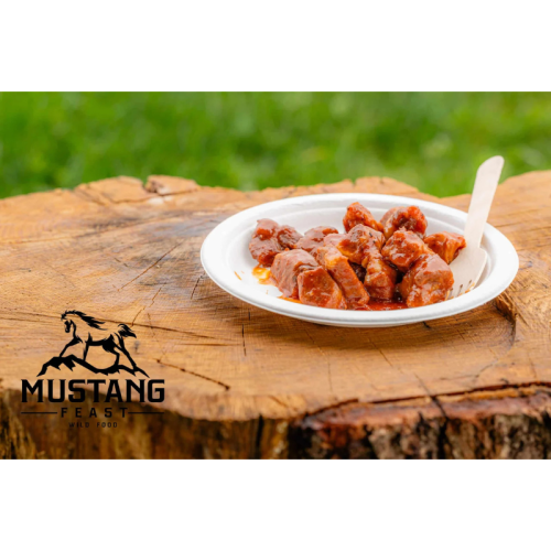 Nr.93 Reisitoit MustangFeast siga spinee BBQ kastmega ja riisiga + pruunika küpsis