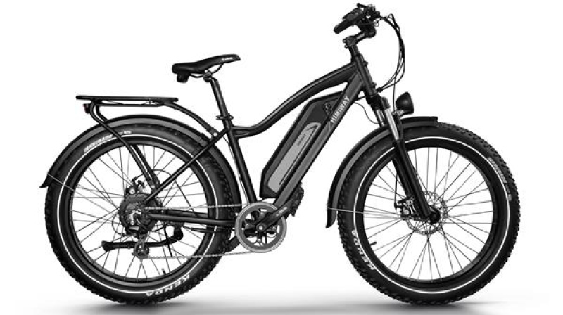 Himiway Cruiser rattas, must