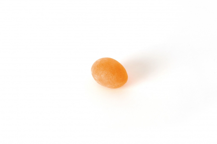 SISSEL® munavormi treener käsivarrelle, väga kõva, oranž