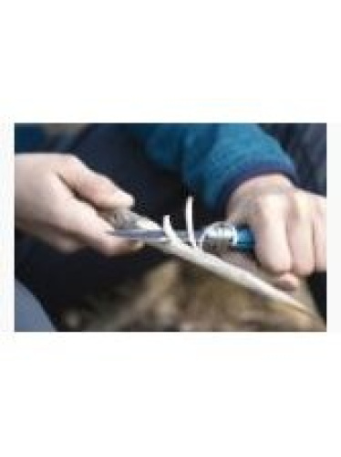 Laste nuga Opinel Outdoor Junior Nr. 7