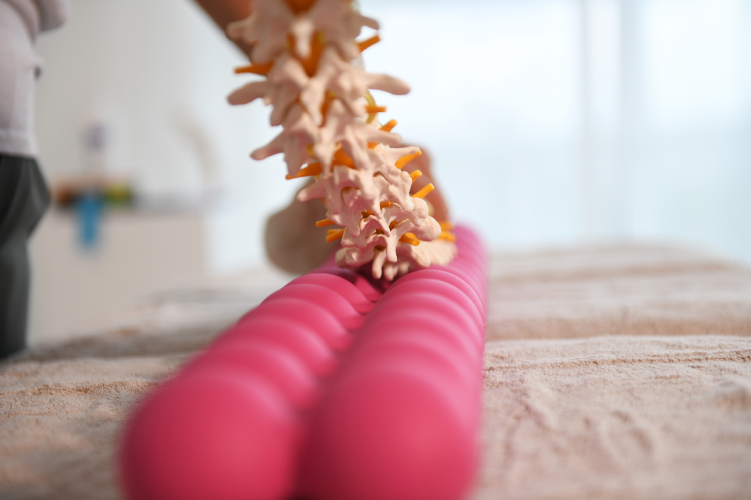 SISSEL® Selgroo treenimisseade, bordo