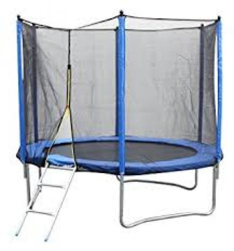 Trampoliin 244 cm turvavõrgu ja redeliga, 8ft (2,44 m)