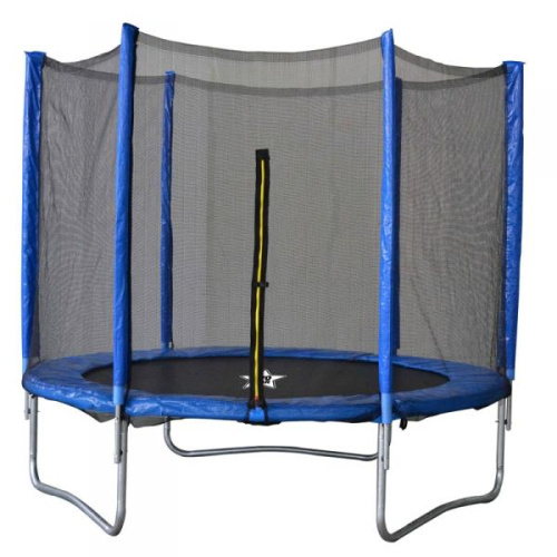Trampoliin 244 cm turvavõrgu ja redeliga, 8ft (2,44 m)
