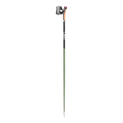 Kõndimiskepid LEKI Flash Carbon 125 cm